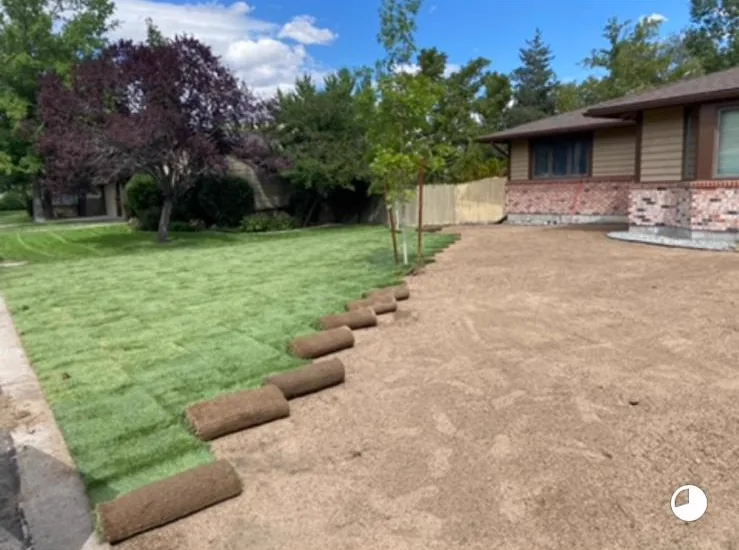 Laying real sod project photo